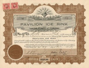 Pavilion Ice Rink